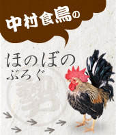 中村食鳥ブログ